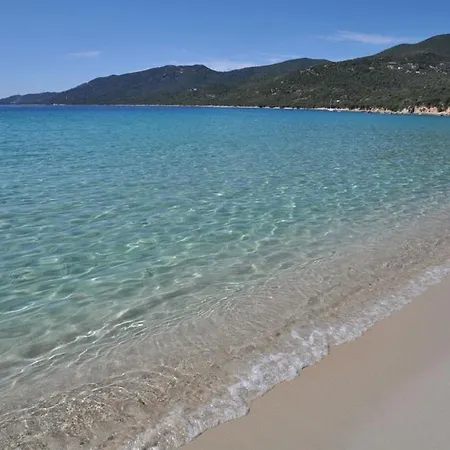 Casa Piatana Villa Olmeto (Corsica)
